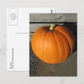 Carte Postale Citrouille (Devant / Derrière)