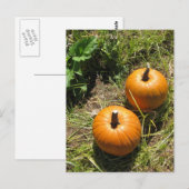 Carte Postale Citrouille (Devant / Derrière)