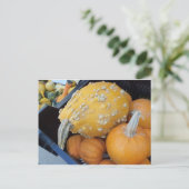 Carte Postale Citrouille averti (Debout devant)