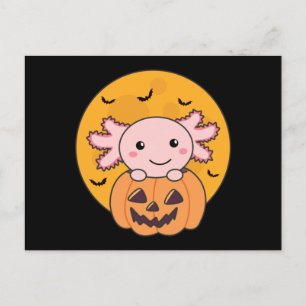 Carte Postale Citrouille Axolotl Amateurs De Beaux Animaux Pour 