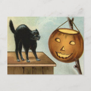 Carte Postale Citrouille Chat Noir Jack O' Lantern