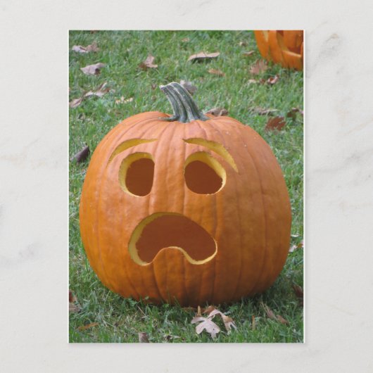 Carte Postale Citrouille choqué (Devant)