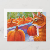 Carte Postale Citrouille, Citrouille (Devant / Derrière)