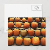 Carte Postale Citrouille d'automne (Devant / Derrière)