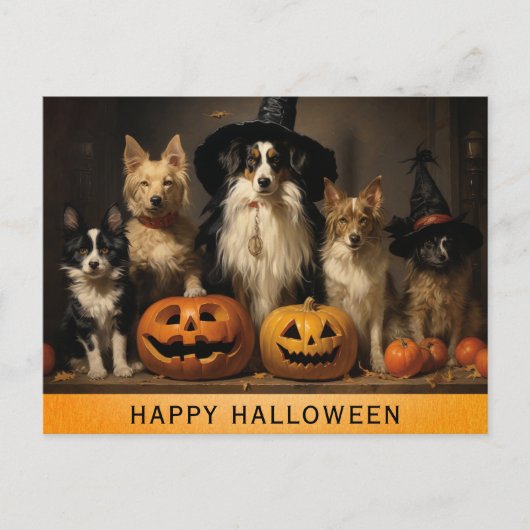 Carte Postale Citrouille de sorcière pour chien mignon d'Hallowe (Devant)