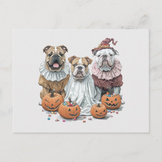 Carte Postale Citrouille des Bulldogs anglais d'Halloween (Devant)