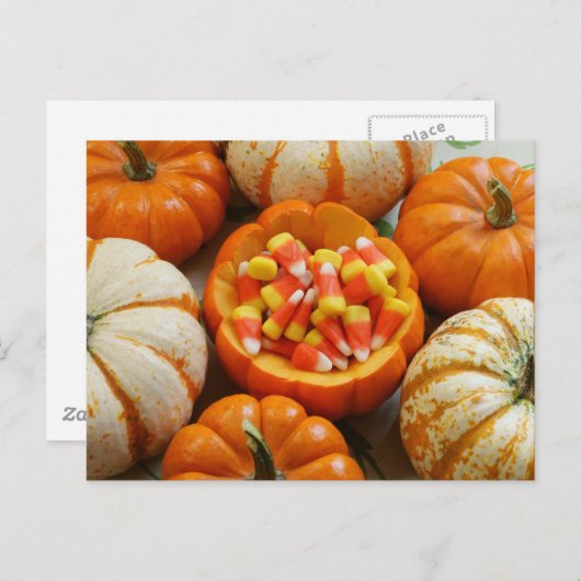 Carte Postale Citrouille et Candy Corn (Devant / Derrière)