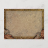 Carte postale Citrouille géant (Dos)