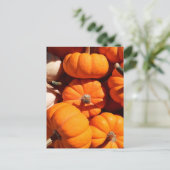 Carte Postale Citrouille halloween Jack-o'-lantern orange citrou (Debout devant)