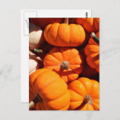 Carte Postale Citrouille halloween Jack-o'-lantern orange citrou (Devant / Derrière)