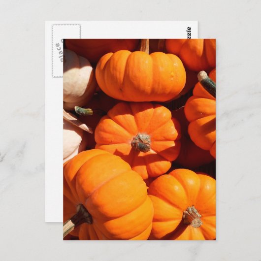 Carte Postale Citrouille halloween Jack-o'-lantern orange citrou (Devant / Derrière)