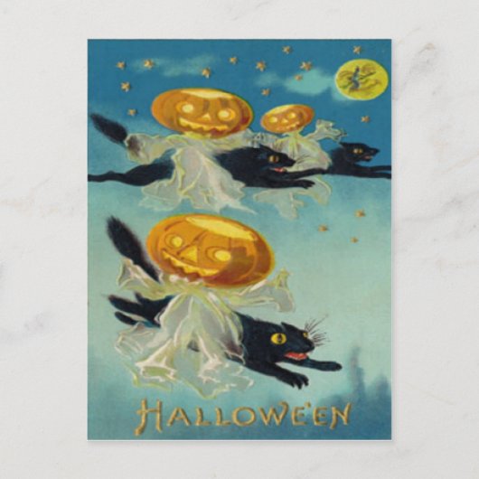 Carte Postale Citrouille Jack-o'-lantern Black Chat Sorcière (Devant)