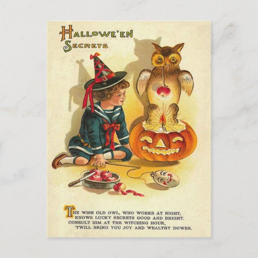 Carte Postale Citrouille Jack O Lantern Chouette Sorcière (Devant)