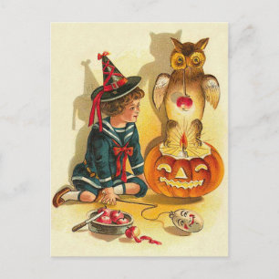 Carte Postale Citrouille Jack O Lantern Chouette Sorcière
