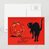 Carte Postale Citrouille Lanterne Jack Chat Noir (Devant / Derrière)