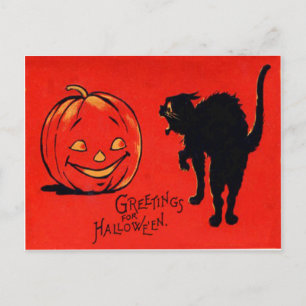 Carte Postale Citrouille Lanterne Jack Chat Noir