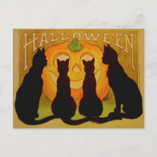 Carte Postale Citrouille Lanterne Jack Chat Noir (Devant)