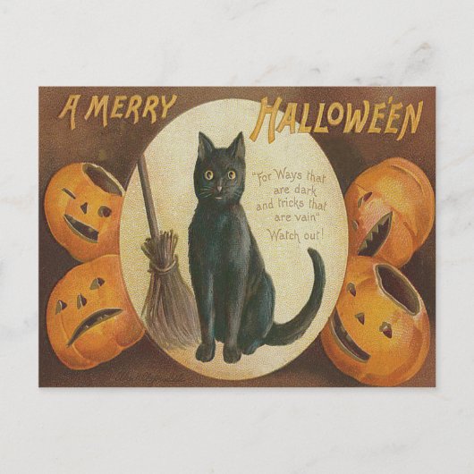 Carte Postale Citrouille Lanterne Jack Chat Noir Balai (Devant)