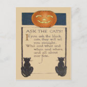 Carte Postale Citrouille Lanterne Jack O' Lantern Chat Noir (Devant)