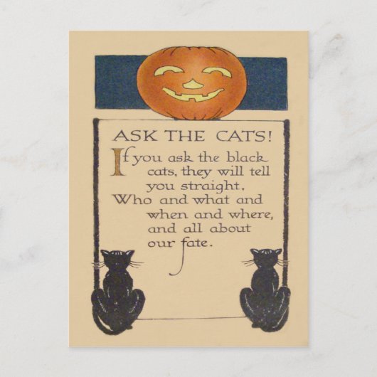 Carte Postale Citrouille Lanterne Jack O' Lantern Chat Noir (Devant)