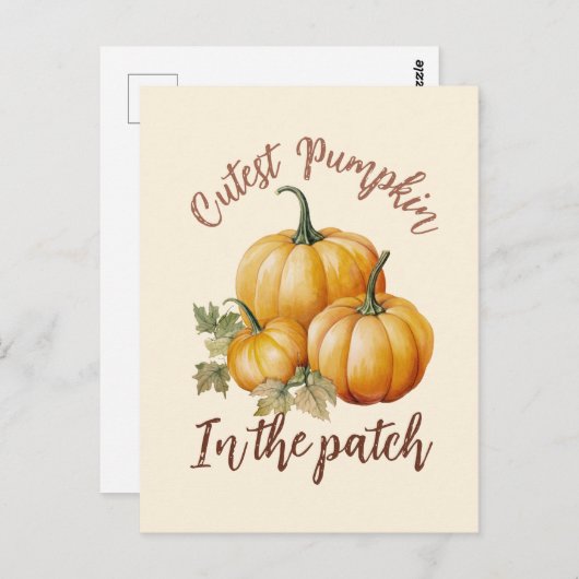 Carte Postale Citrouille le plus précis dans le patch (Devant / Derrière)