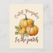 Carte Postale Citrouille le plus précis dans le patch (Devant)