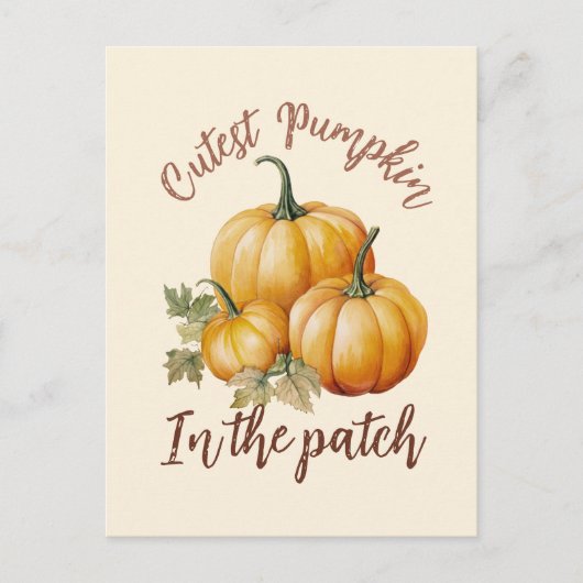 Carte Postale Citrouille le plus précis dans le patch (Devant)