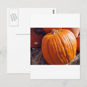 Carte Postale Citrouille orange (Devant / Derrière)