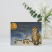 Carte Postale Citrouille Owl Jack-o'-lantern (Debout devant)