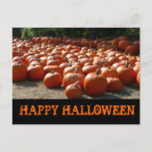 Carte Postale Citrouille Patch Halloween heureux (Devant)