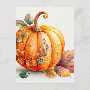 Carte Postale Citrouille récolté d'automne fraîchement récolté