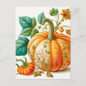 Carte Postale Citrouille récolté en automne fraîchement récolté (Devant)