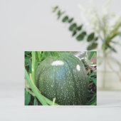 Carte Postale Citrouille vert (Debout devant)