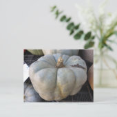 Carte Postale Citrouille vert (Debout devant)