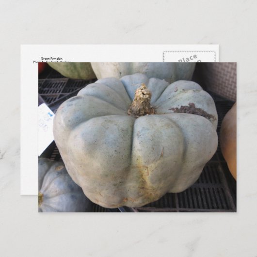 Carte Postale Citrouille vert (Devant / Derrière)