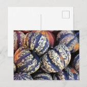 Carte Postale Citrouilles à rayures rustiques (Devant / Derrière)