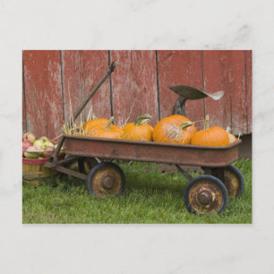 Carte Postale Citrouilles dans un vieux chariot