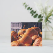 Carte Postale Citrouilles dans une cage (Debout devant)