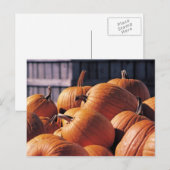 Carte Postale Citrouilles dans une cage (Devant / Derrière)