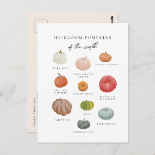 Carte Postale Citrouilles de l'héritier Automne
