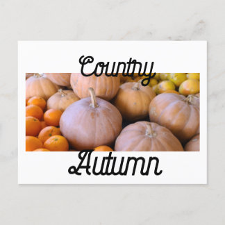Carte Postale Citrouilles de marché de paysans Campagne Automne