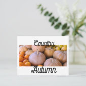 Carte Postale Citrouilles de marché de paysans Campagne Automne (Debout devant)