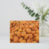 Carte Postale Citrouilles de Thanksgiving (Debout devant)