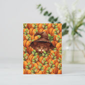 CARTE POSTALE CITROUILLES DE THANKSGIVING CHAT MIGNON (Debout devant)