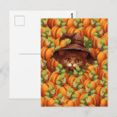 CARTE POSTALE CITROUILLES DE THANKSGIVING CHAT MIGNON (Devant / Derrière)