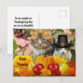 Carte Postale Citrouilles de Thanksgiving de chat / Issu du Coll (Devant / Derrière)