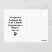 Carte Postale Citrouilles de Thanksgiving de chat / Issu du Coll (Dos)