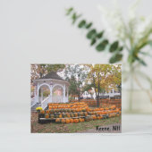 Carte Postale Citrouilles en Keene, NH (Debout devant)