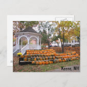 Carte Postale Citrouilles en Keene, NH (Devant / Derrière)