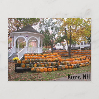Carte Postale Citrouilles en Keene, NH